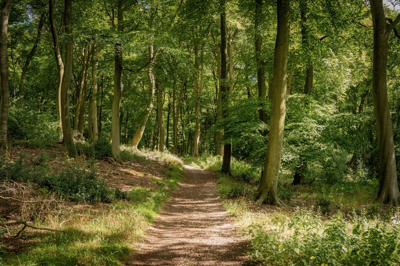27.09.25 - Menopaus'ull Walk &amp; Talk at Beverley Westwood